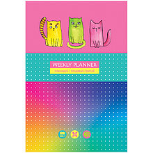 Записная книжка А5 80л. BG "Яркие коты", матовая ламинация, выб. лак, блок в точку