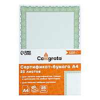 Сертификат-бумага А4, 25 листов Calligrata "Зеленый орнамент", 120 г/м2