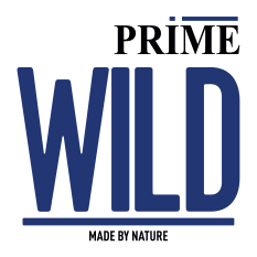 Prime Wild