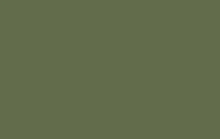Мебельный фасад из МДФ 3P 18мм Карит зеленый