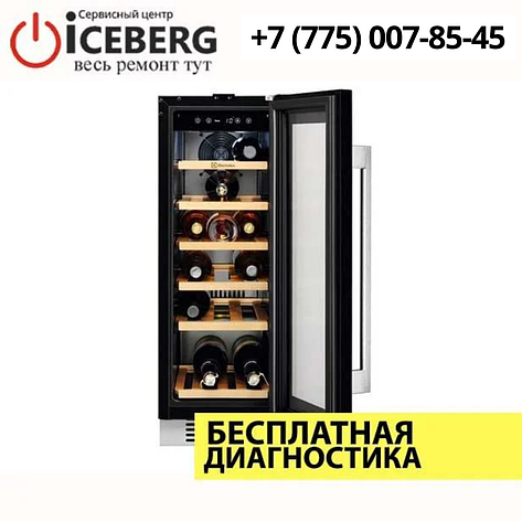 Ремонт винных холодильников Electrolux в Алматы, фото 2
