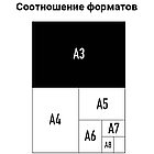 Обложка А3 OfficeSpace "Кожа" 230г/кв.м, черный картон, 100л., фото 4