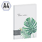 Папка с 30 вкладышами Berlingo "Eco", 17мм, 600мкм, с внутр. карманом, с рисунком, фото 2