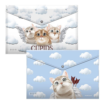 Папки на кпопке