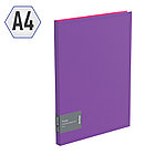 Папка с 30 вкладышами Berlingo "Fuze", 17мм, 600мкм, фиолетовая, фото 2