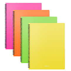 Папка с файлами на спирале ErichKrause Matt Neon А4, 20 файлов, пластиковая, ассорти