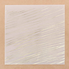 Калька для скрапбукинга с фольгированием «Экспрессия» , 20 х 20 см 3735487