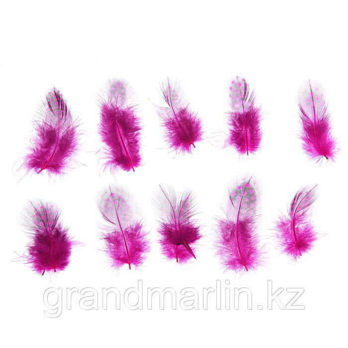 Набор перьев для декора 10 шт., размер 1 шт: 5 × 2 см, цвет розовый с чёрным - фото 1 - id-p107466051
