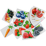 Развивающие карточки Мульти-Пульти "Овощи, фрукты, ягоды", 36шт., картон, европодвес, фото 3