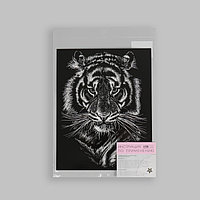 SТермотрансфер «Портрет тигра», 22 × 28 см