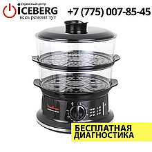 Ремонт пароварок Moulinex в Алматы