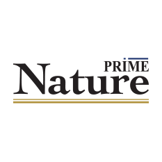 Prime Nature