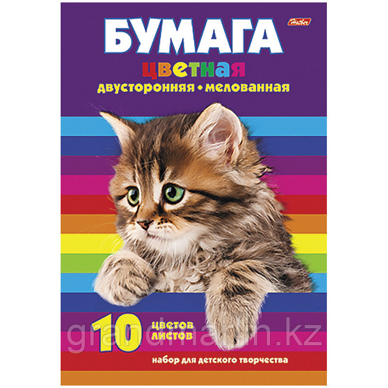 Цветная бумага двусторонняя А4, Hatber "Котенок", 10л., 10цв., мелованная, в папке