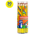 Карандаш с многоцветным грифелем Мульти-Пульти "Енот и радуга", утолщенный, заточен., фото 2