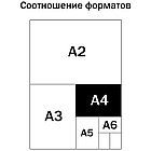 Альбом для рисования 32л., А4, на скрепке ArtSpace "Цветы. Magic flowers", фото 6