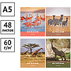 Тетрадь 48л., А5, клетка ArtSpace "Животные. Nature of Africa", эконом, фото 2