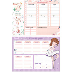 Расписание уроков с расписанием звонков А4 ArtSpace "Пиши-стирай. Cool girl"