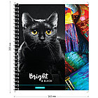 Тетрадь 80л., А5, клетка на гребне ArtSpace "Животные. Bright&black", глянцевый УФ-лак, фото 3