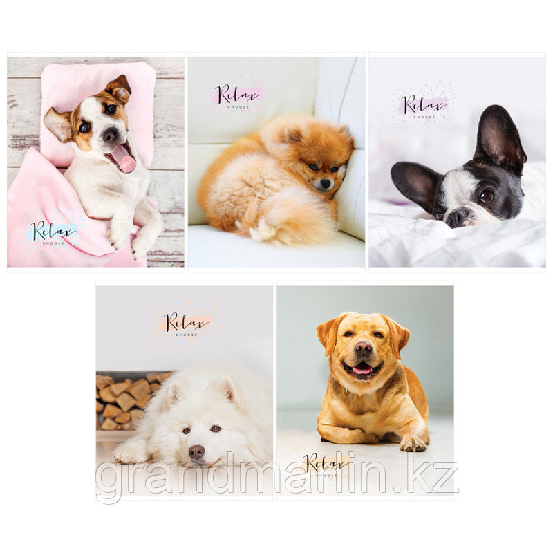 Тетрадь 96л., А5, клетка ArtSpace "Питомцы. The pets", фото 1