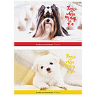 Альбом для рисования 32л., А4, на скрепке ArtSpace "Питомцы. Where your friend", фото 2