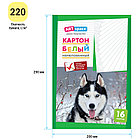 Картон белый A4, ArtSpace, 16л., немелованный, в папке, фото 3