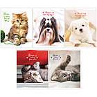 Тетрадь 48л., А5, клетка ArtSpace "Питомцы. Where your friend", на скрепке, фото 2