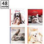 Тетрадь 48л., А5, клетка ArtSpace "Питомцы. Where your friend", на скрепке, фото 3
