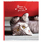 Тетрадь 48л., А5, клетка ArtSpace "Питомцы. Where your friend", на скрепке, фото 6