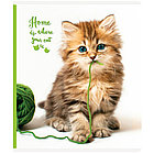 Тетрадь 48л., А5, клетка ArtSpace "Питомцы. Where your friend", на скрепке, фото 8