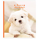 Тетрадь 48л., А5, клетка ArtSpace "Питомцы. Where your friend", на скрепке, фото 9