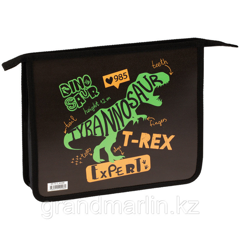 Папка для тетрадей 2 отделения А5 ArtSpace "T-Rex", пластик, на молнии, фото 1