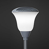 GALAD Тюльпан LED-80-ШОС/Т60 (9700/740/RAL7040/D/0/Clear/GEN2), фото 4