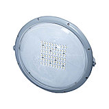 GALAD Кассиопея LED-40-ШО/К60 (6000/740/RAL7040/D/0/ORN2/GEN2) Plastic Bowl, фото 4