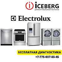 Ремонт бытовой техники Electrolux в Алматы