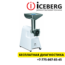 Ремонт мясорубок Braun в Алматы