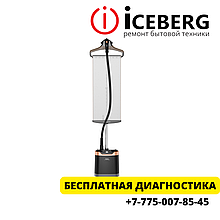 Ремонт отпаривателя и парогенераторов Tefal в Алматы