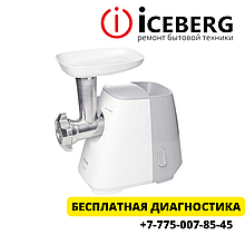 Ремонт мясорубок Philips в Алматы.