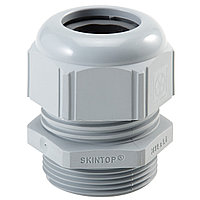 SKINTOP® STR-M 50X1.5 RAL 7001 SGY