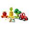 Lego Дупло Фруктово овощной трактор, фото 4