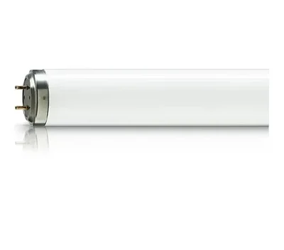 Репрография