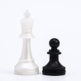 Шахматные фигуры обиходные, пластик, король h-7 см, d-2.7 см, пешка h-4 см, d-2.5 см, фото 2
