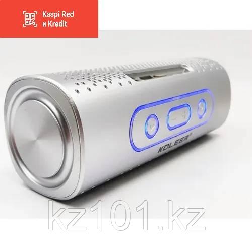 Беспроводная портативная Bluetooth колонка + MP3 + FM, Soloda S819 - фото 1 - id-p107532250