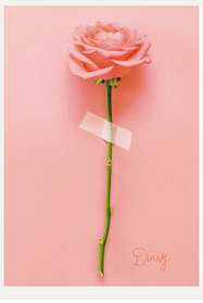 Ежедневник А5, полу датированный, Роза, 192 лист, календарь до 2026 года