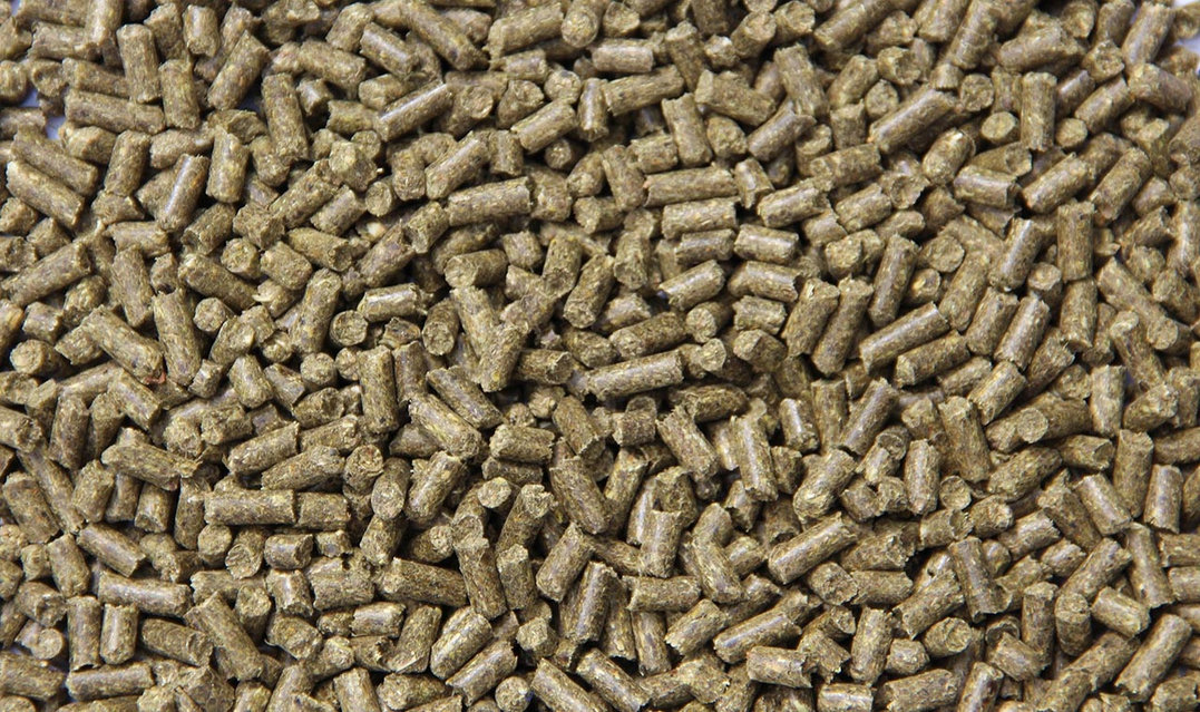 Табиғи қыздармен порно Шұңқырлар порно