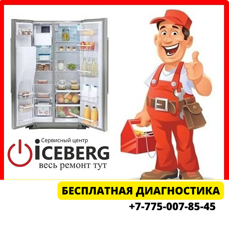 Ремонт холодильника Бомпани, Bompani Алматы на дому, фото 2