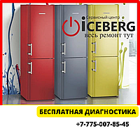 Ремонт холодильника Либхер, Liebherr Наурызбайский район