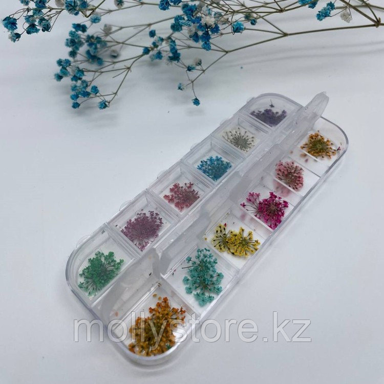 Сухоцветы для дизайна ногтей в ассортименте