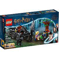 LEGO Harry Potter Hogwarts Карета и Тестралы - фото 1 - id-p107547488