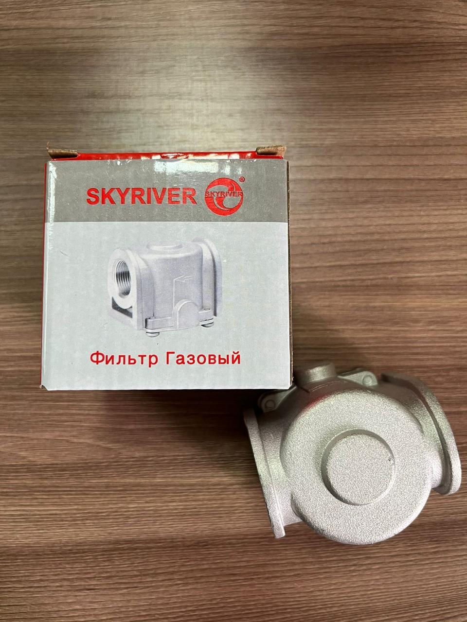 Фильтр газовый 20 ДУ