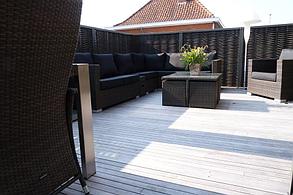 Полимерлік жүзім